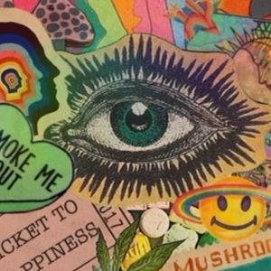 Meet your Posher, Abbie